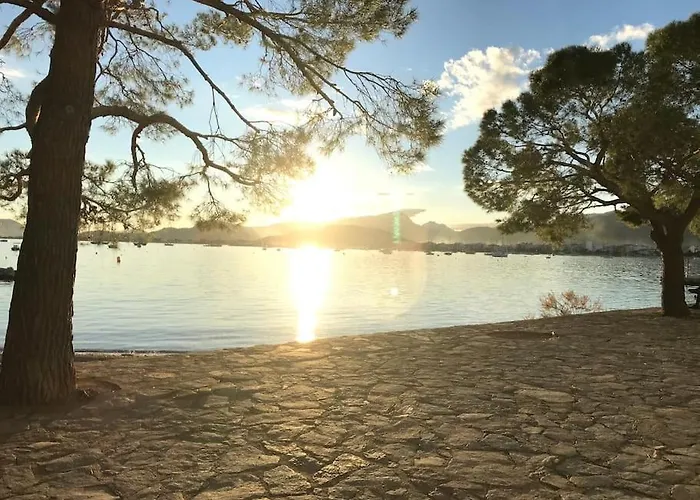 Singala Port de Pollença