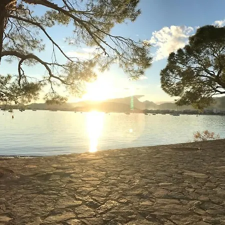 Singala Port de Pollença